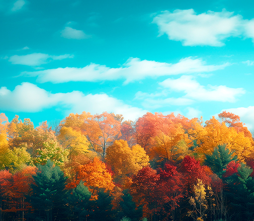 11월 패키지 이용 안내