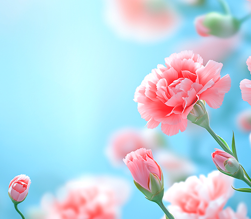 5월
패키지 이용 안내